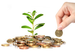 Organic SEO Services